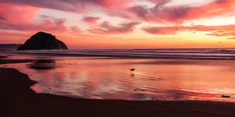 企业域名注册年限如何影响SEO信任度与品牌保护？网络服务与服务器管理的关键策略