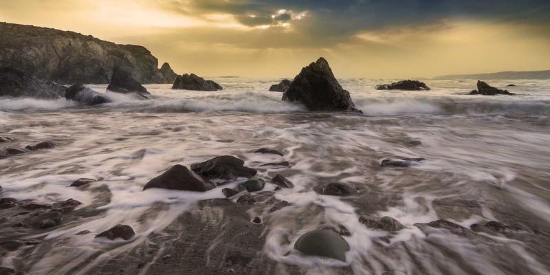 国际化域名(IDN)注册全解析：如何用本地语言字符保护全球品牌与服务器管理策略