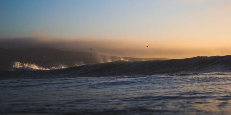 域名注册18：网站托管、域名注册与服务器管理的协同策略