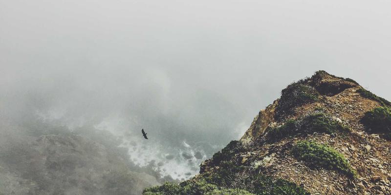 域名注册38问:从选名到托管的完整网络服务指南