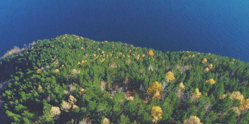 域名注册与网站托管最佳实践：从注册到服务器管理的完整指南