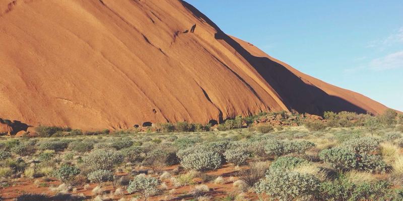 域名注册与网站迁移全攻略：如何无缝转移DNS设置并守护SEO排名