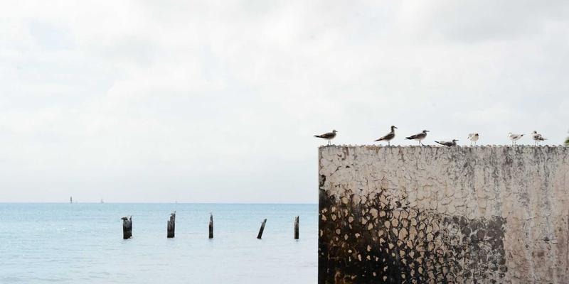 域名注册信息隐私保护服务：服务器管理与网络服务中的必要防线