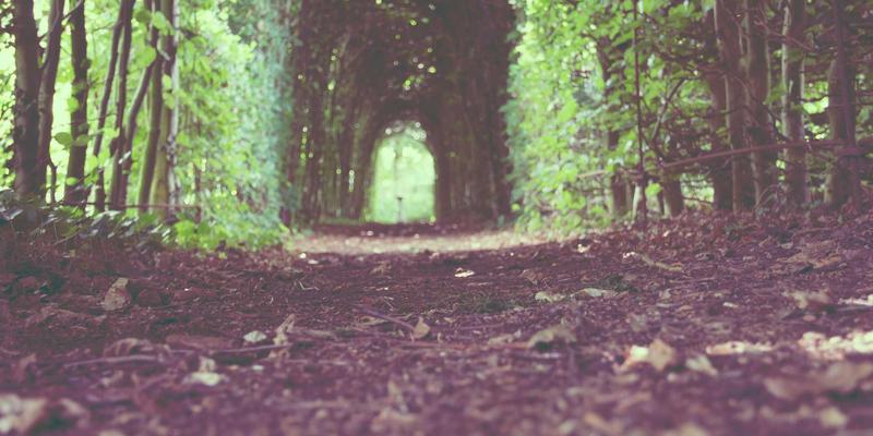 域名注册年限对SEO排名有影响吗？深度解析与YWLCN网站托管建议