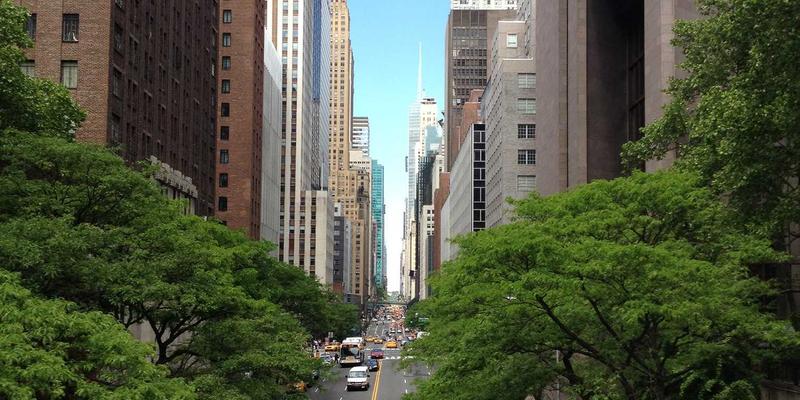 域名注册数据（Whois）揭秘：如何利用网络服务与网站托管信息进行深度竞争对手分析与市场调研