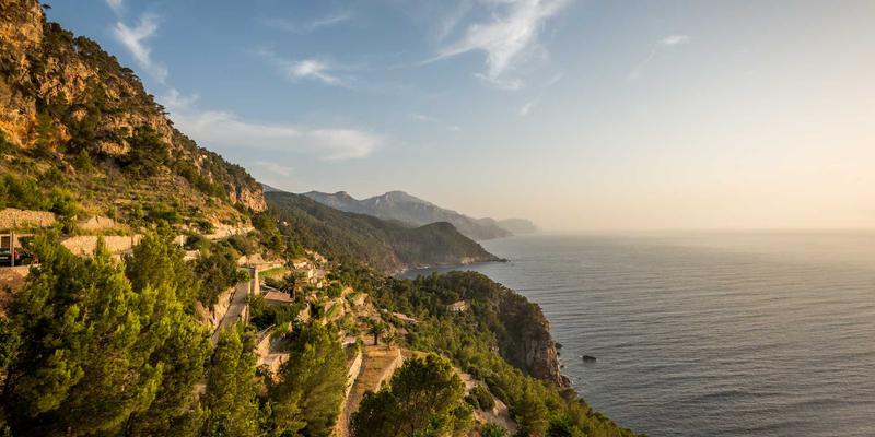 域名注册、网站托管与服务器管理：构建网络服务的三大基石对比解析