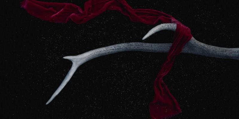 域名转移全攻略：不同注册商之间安全转移的步骤、陷阱与最佳时机 | YWLCN网络服务与服务器管理指南